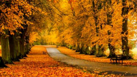 Ce vreme ne paște în primele două săptămâni ale lunii octombrie