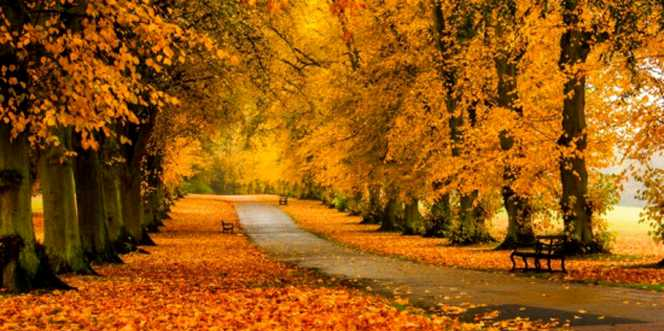 Vremea exactă în Maramureș, sâmbătă, 6 noiembrie