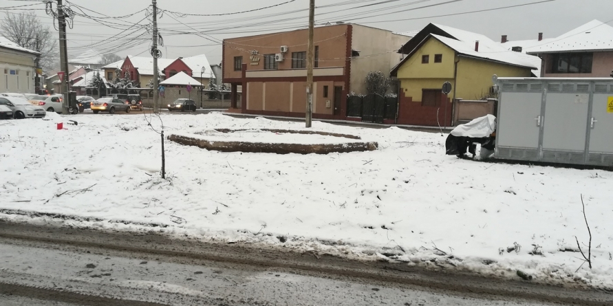 ”Leru-i ler și azi și ieri/Nu ne mai lua de fraieri” – colind către primarul Băii Mari