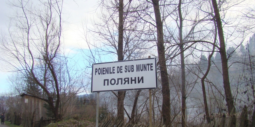 Suspiciune de pruncucidere: bebeluș mort, aruncat în apa râului din Poienile de sub Munte