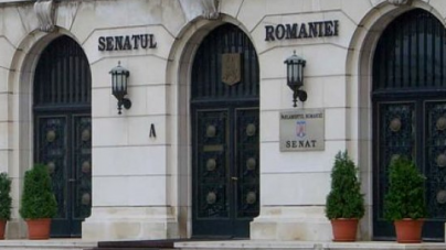 O maramureșeancă face parte din Grupul Parlamentar ”UNIREA”, nou înființat în Senat