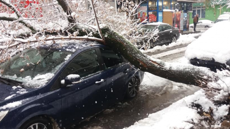 Doi bărbați au ars într-un incendiu din Repedea