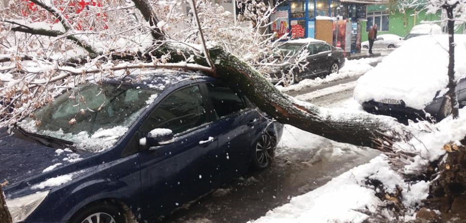 Doi bărbați au ars într-un incendiu din Repedea