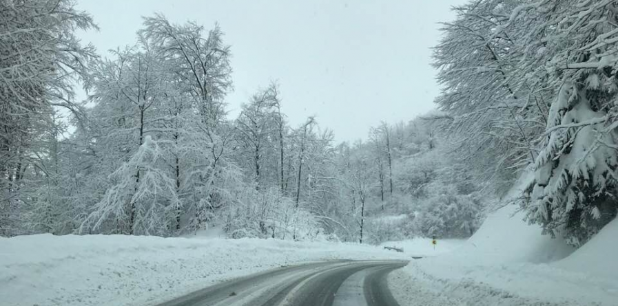 Vizibilitate sub 100 de metri în Pasul Prislop din cauza ceții