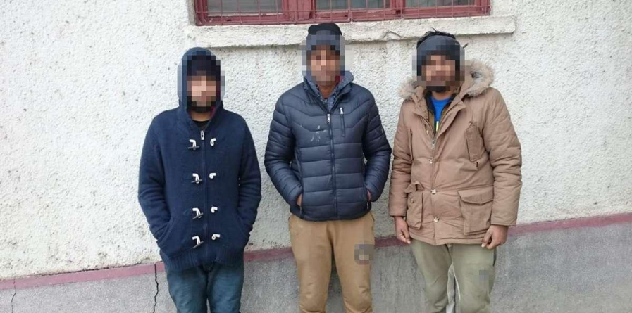 Călăuze și imigranți, prinși la frontieră