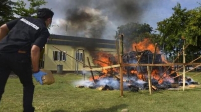 Foc de tabără din 800 de kilograme de marijuana