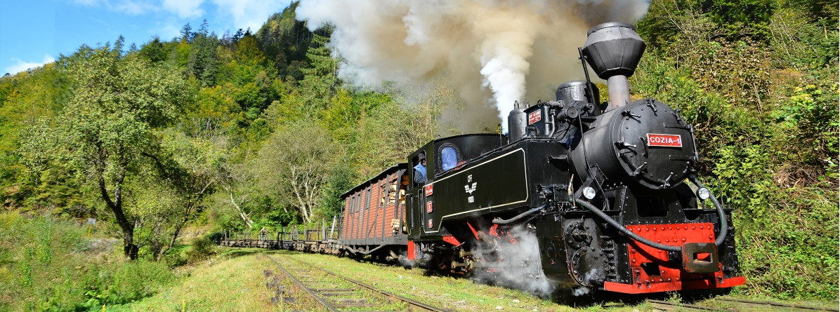 La începutul săptămânii viitoare, cursele cu Mocănița se anulează pentru o zi