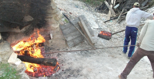 Reportaj  plagiat în Graiul Maramureşului (GALERIE FOTO)