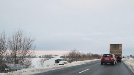 Stejar, extremă urgență, cu dus și-ntors