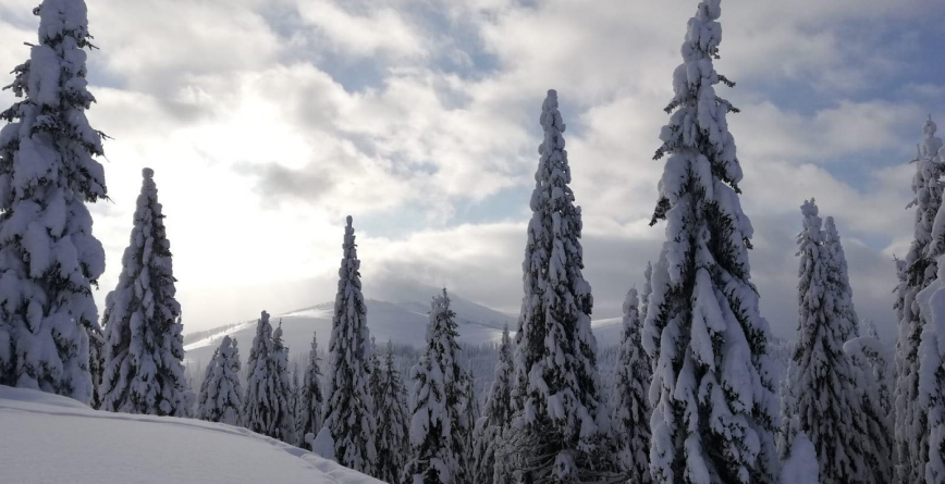 Cum va fi vremea în acest weekend