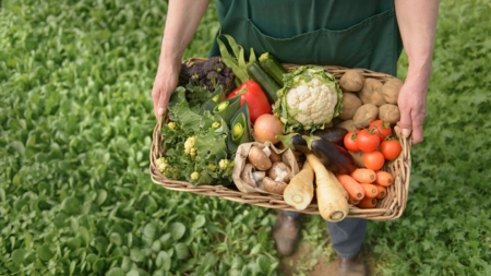 Cum stăm cu agricultura ecologică în Maramureş