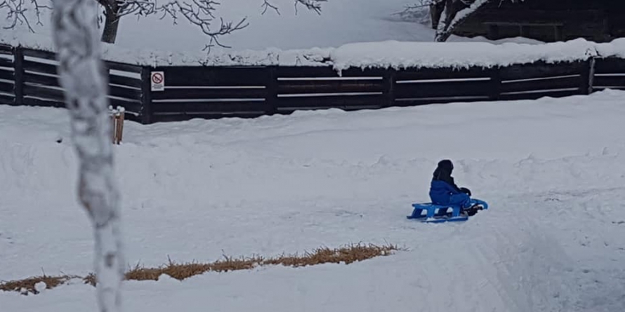 La săniuș la Muzeul Satului