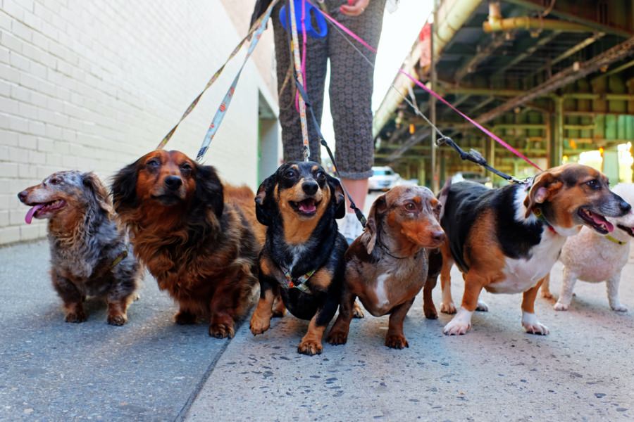 O metodă simplă pentru prevenirea stresului