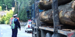 În cursul acestei săptămâni: Peste 117 mc de material lemnos confiscat de polițiștii maramureșeni