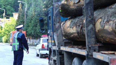 În cursul acestei săptămâni: Peste 117 mc de material lemnos confiscat de polițiștii maramureșeni