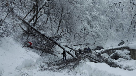 Nou record la Cavnic: 125 cm de zăpadă; copaci prăbușiți pe Valea Neagră