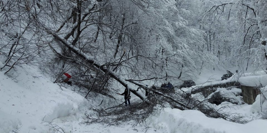 Nou record la Cavnic: 125 cm de zăpadă; copaci prăbușiți pe Valea Neagră
