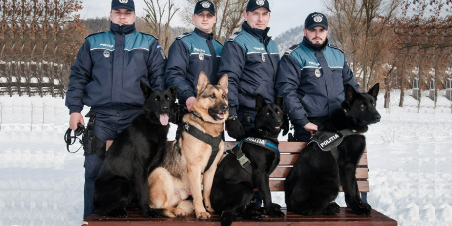 Grupa Canină, partea de poliție care e iubită de toată lumea, cu excepția infractorilor