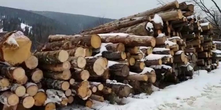 Material lemnos confiscat de polițiști de la o firmă din Borșa
