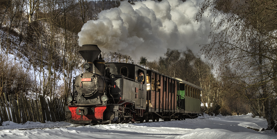 Cu mocănița pe Valea Vaserului, la început de an