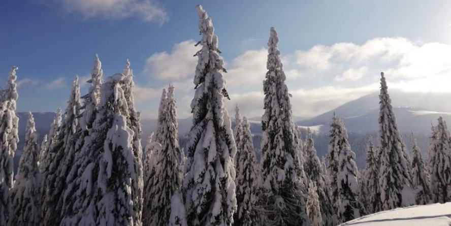 Cea mai rece noapte:  – 29  ͦ  C la Târgu Lăpuș