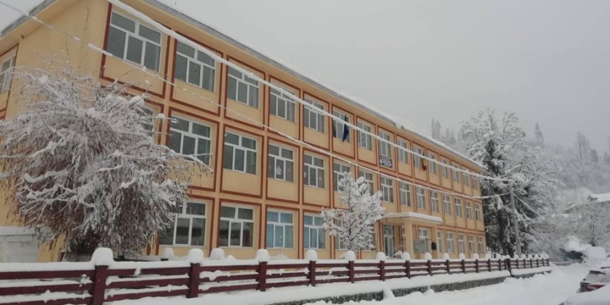 Controale în școli pentru a preveni răspândirea gripei