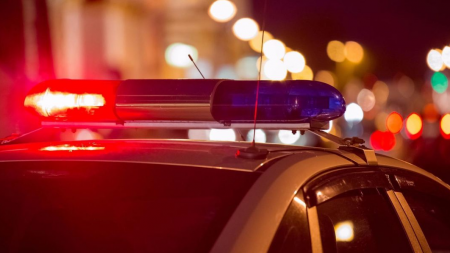 La trecerea dintre ani, 49 permise și-au părăsit, temporar, stăpânii