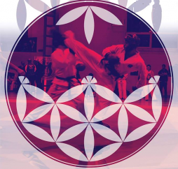 Campionatul Național de Taekwon-Do ITF 2019 are loc în Baia Mare