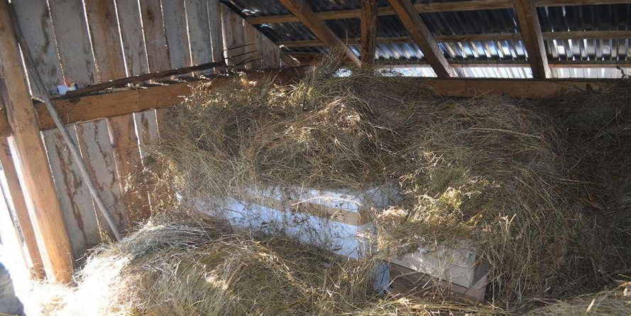 Cum se poate ca fânul dintr-o anexă să valoreze aproape 150.000 de lei (VIDEO)