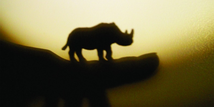 ”Rinocerii” lui Ionesco, noua premieră de la Teatrul Municipal