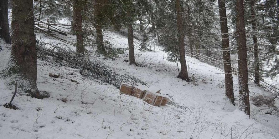 Cum lasă unii  tutunul, ajutați de polițiștii de frontieră