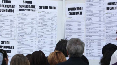 În Maramureș: Aproape 600 de locuri de muncă disponibile prin AJOFM