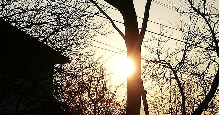 Ultima zi din februarie va fi caldă, făcând loc mărțișorului
