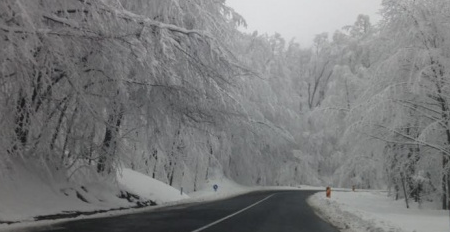 Vreme noroasă, cu niscaiva ceață