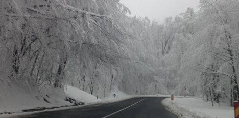 Vreme noroasă, cu niscaiva ceață
