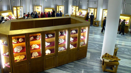 În 2019, Muzeul de Mineralogie Baia Mare a avut 27.895 de vizitatori