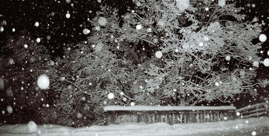 Urmează două nopți geroase, cu temperaturi de până la – 13  ͦ  C