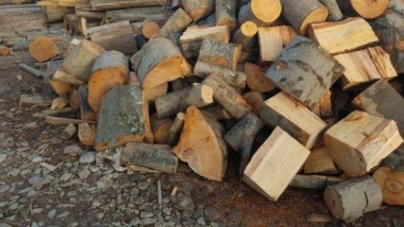 O femeie s-a ales cu dosar penal după ce i s-au furat lemne