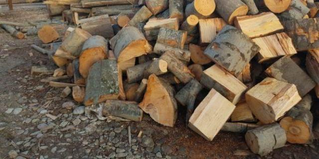 O femeie s-a ales cu dosar penal după ce i s-au furat lemne