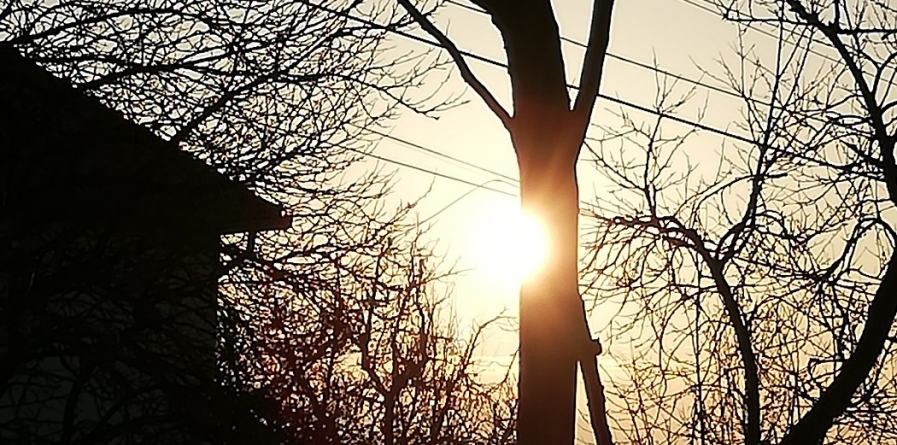 În ajun de 8 martie vor fi chiar și 17  ͦ  C