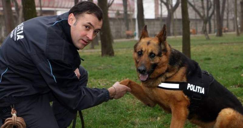 Polițiștii au treabă la mall