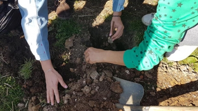 Trandafiri plantați la Muzeul Satului de copii de la case de tip familial (GALERIE FOTO)