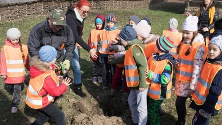 Prichindeii de la Școala ”George Coșbuc” au plantat pomi la Muzeul Satului (GALERIE FOTO)