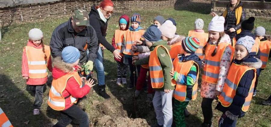 Prichindeii de la Școala ”George Coșbuc” au plantat pomi la Muzeul Satului (GALERIE FOTO)