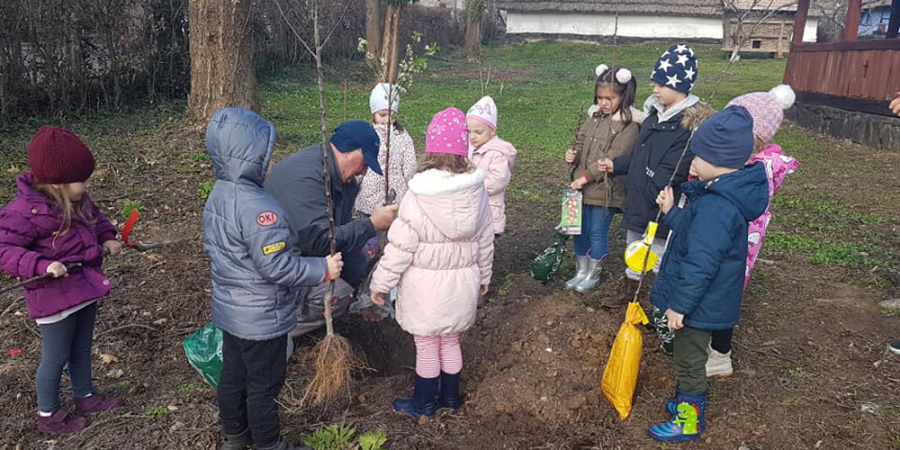 Grădinițele Maya și Gabi din Baia Mare – în campania “Fă-ți datoria de om… plantează un pom!” (GALERIE FOTO)