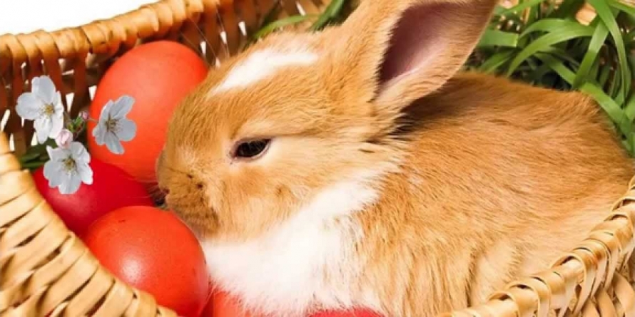 O văduvă cu trei copii are nevoie de ajutor în postul Paștilor