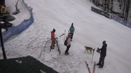 Cupa Veteranilor la schi