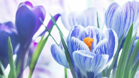 Vernisajul expoziției de pictură “Salonul de primăvară”