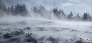 Cod galben de intensificări ale vântului și ninsori viscolite în Maramureș