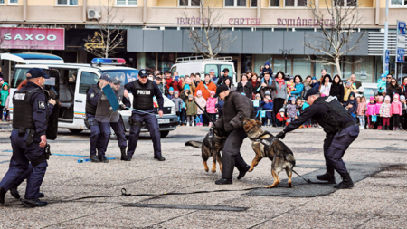 Show cu câini care pun cu botul pe labe niște scandalagii beți